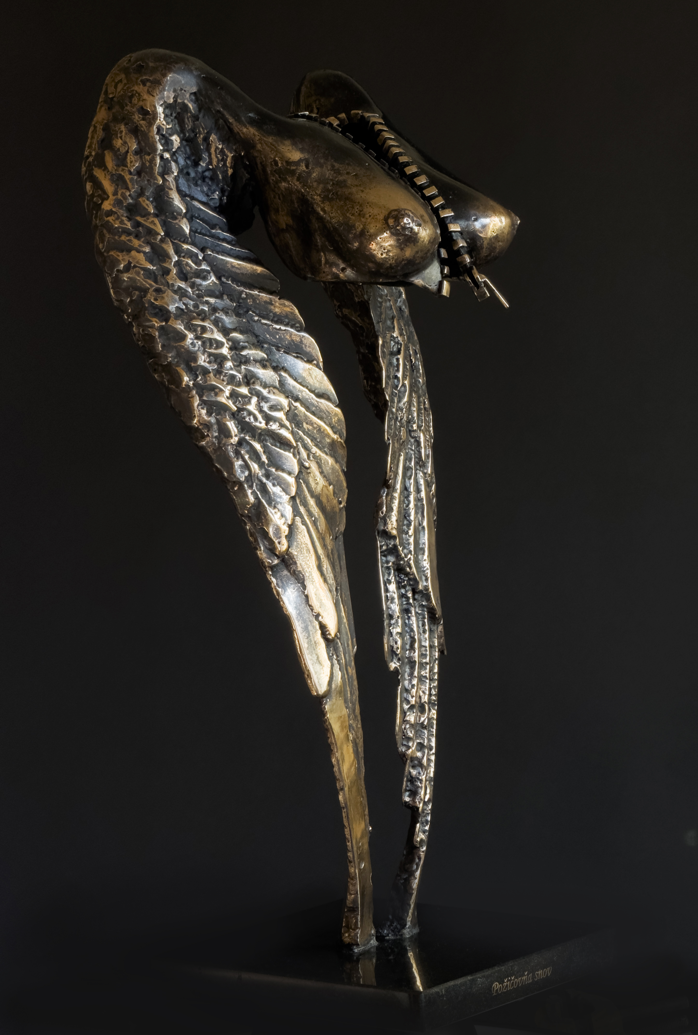 Požičovňa snov / Dream rental